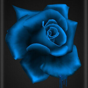 Meet your Posher, Carrie